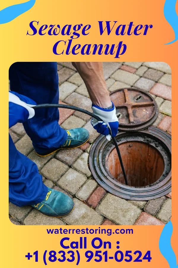 Sewage Water Cleanup in Myton, UT